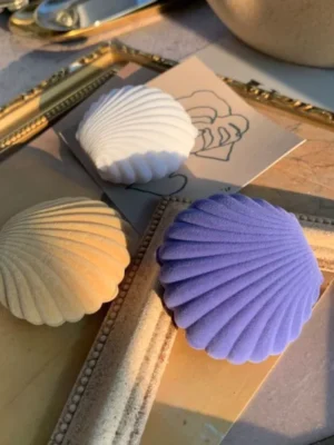 Sea Shell Jewelry Box